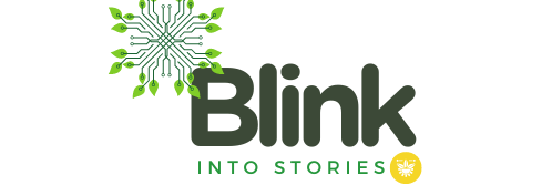Blink into Stories